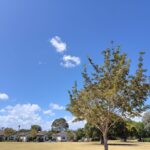 お気に入りの場所