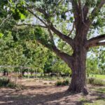 英語力を磨きたい2