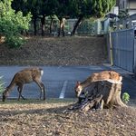 ゲーム理論研究集会
